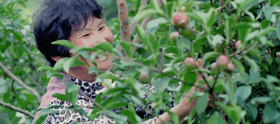 6.gif